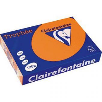 Kopierkarton 120 g, DIN A 4, pastell  clementine